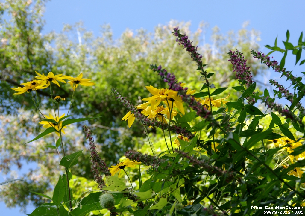 69979CrLeUsm - Beth and I kayaking Duffins Creek from Lake Ontario to the Bayly St. bridge